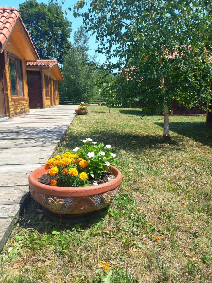 Вилно Селище Мировец Maluk Izvor  Exteriör bild